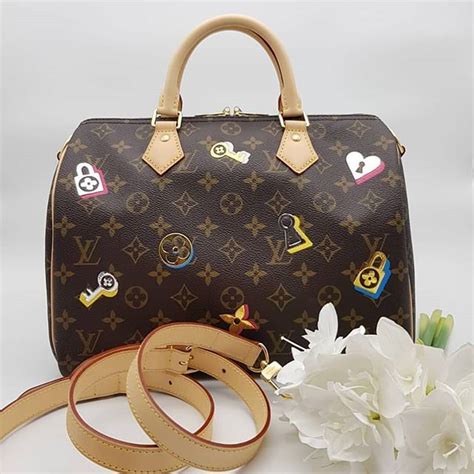 Louis Vuitton seasonal bag